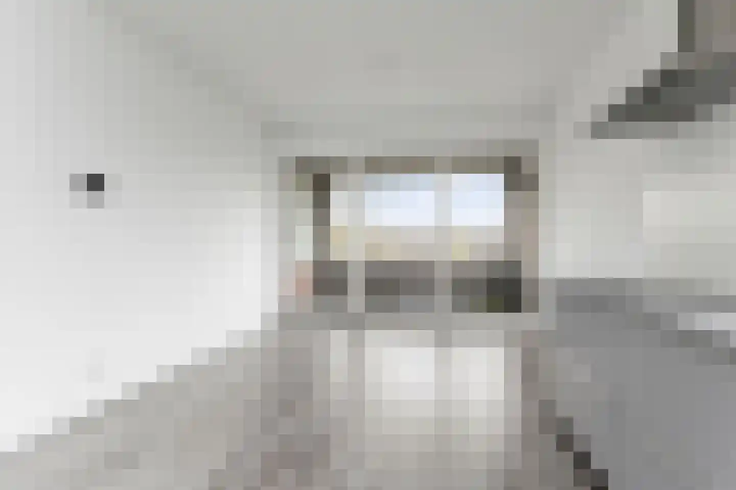 Algengroen 8 C Zoetermeer thumbnail 28