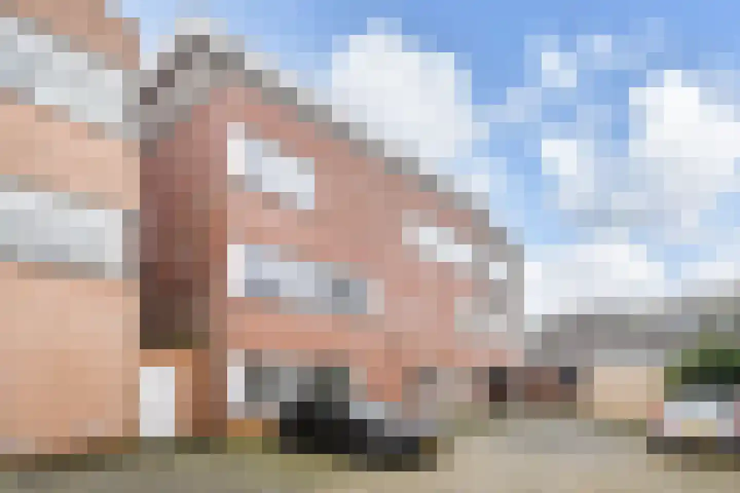 Algengroen 8 C Zoetermeer thumbnail 38