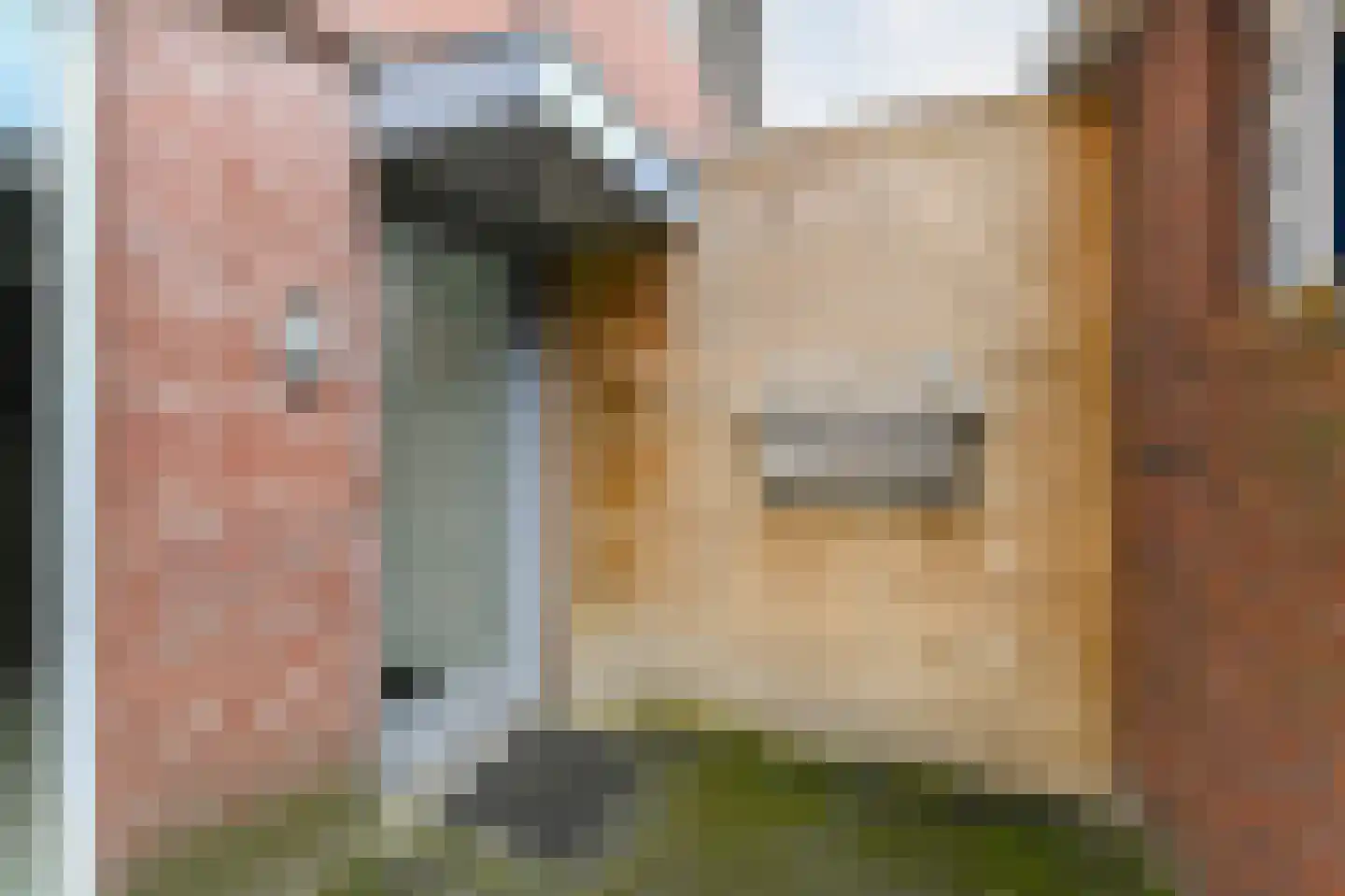 Algengroen 8 C Zoetermeer thumbnail 5