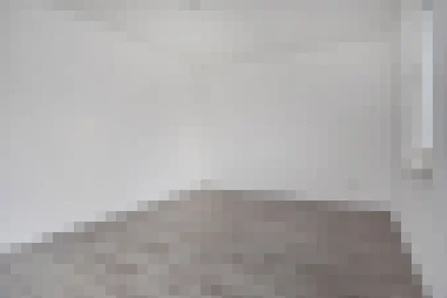 Algengroen 8 D Zoetermeer thumbnail 17