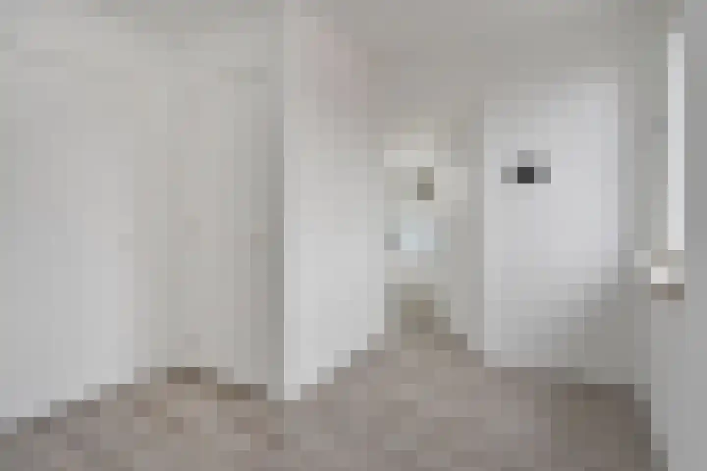 Algengroen 8 D Zoetermeer thumbnail 19