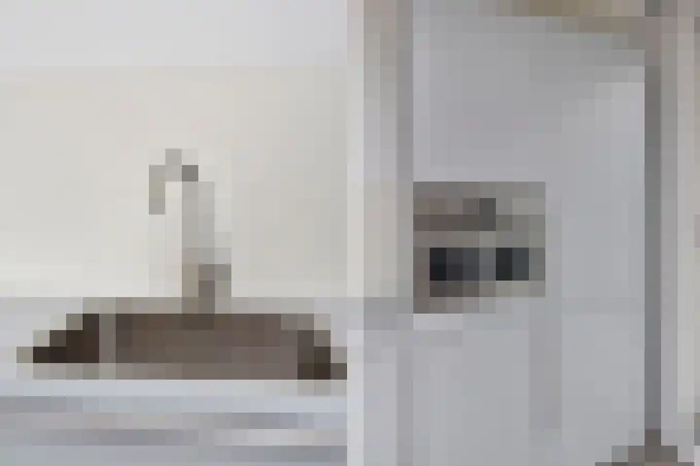 Algengroen 8 D Zoetermeer thumbnail 25