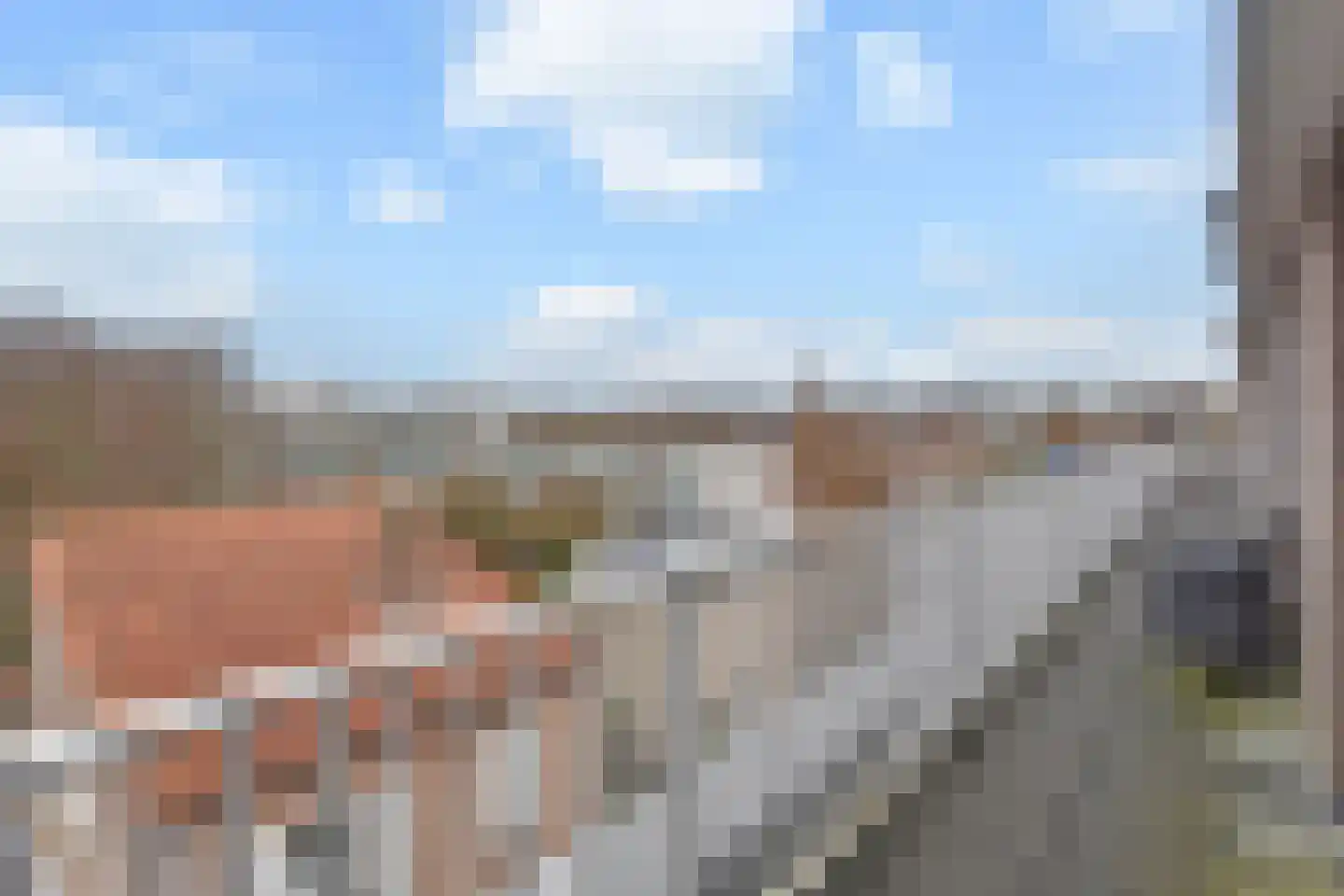 Algengroen 8 D Zoetermeer thumbnail 26
