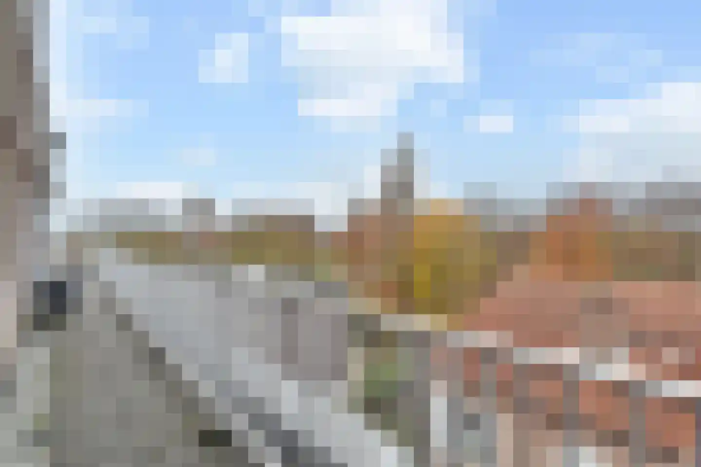 Algengroen 8 D Zoetermeer thumbnail 27