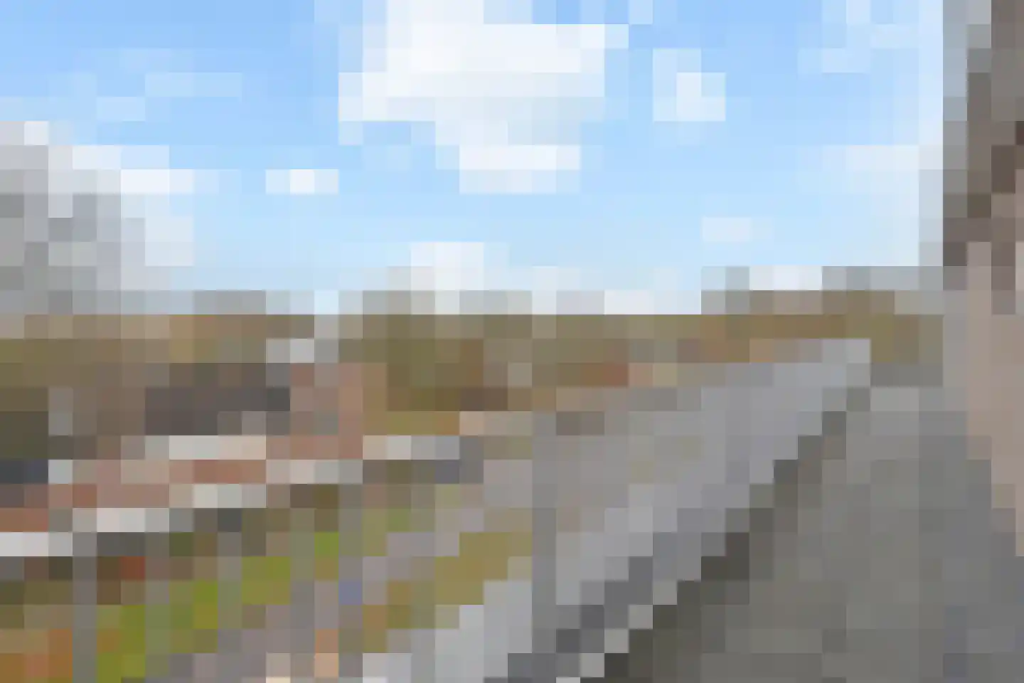 Algengroen 8 D Zoetermeer thumbnail 29