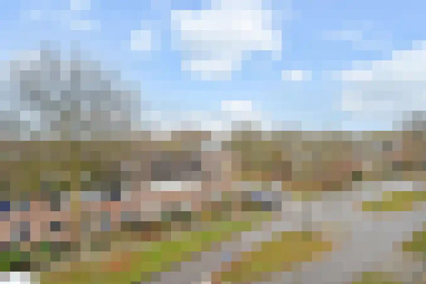 Algengroen 8 D Zoetermeer thumbnail 30