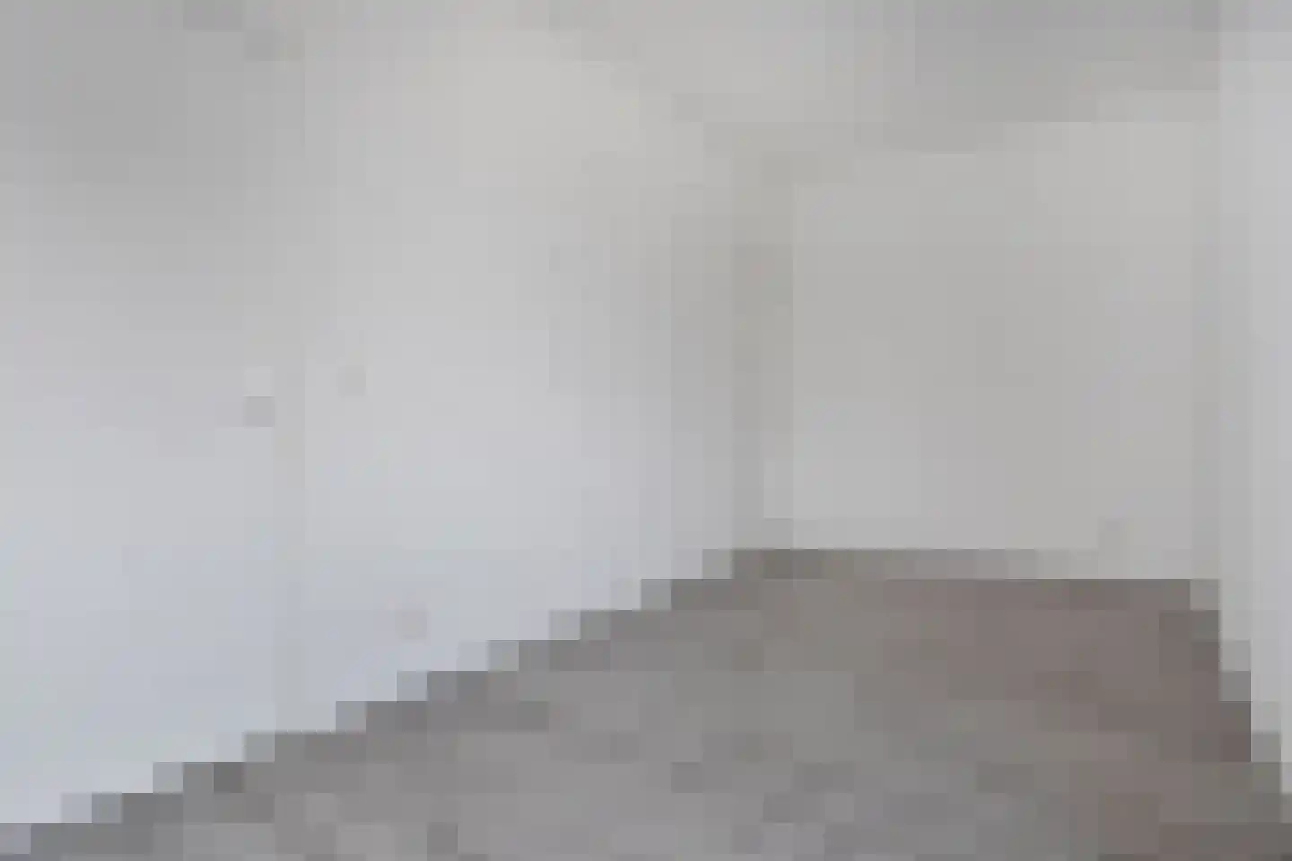Algengroen 8 D Zoetermeer thumbnail 7