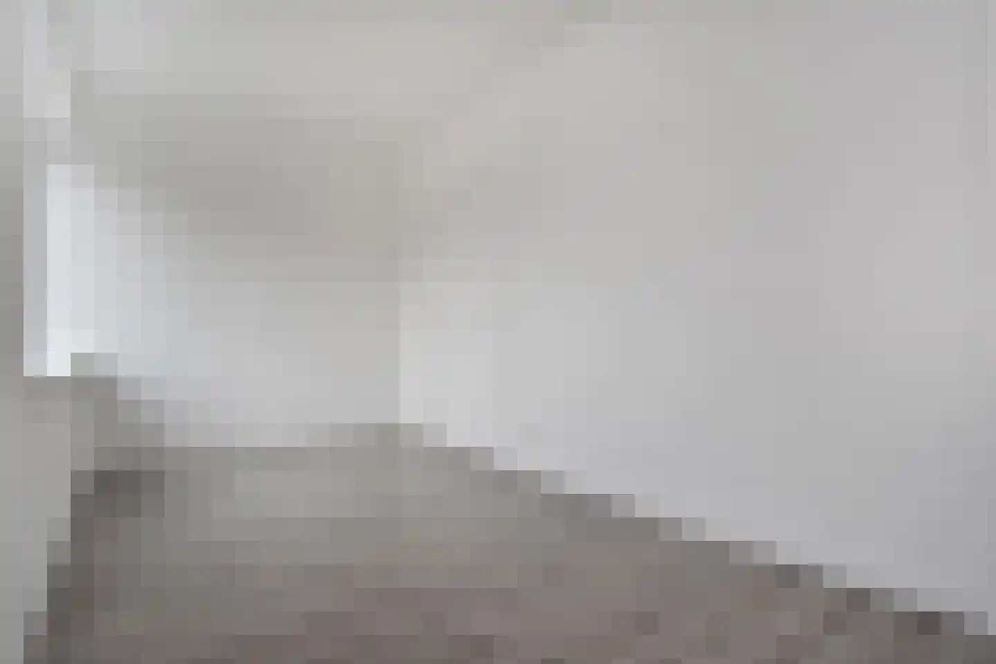 Algengroen 8 D Zoetermeer thumbnail 8