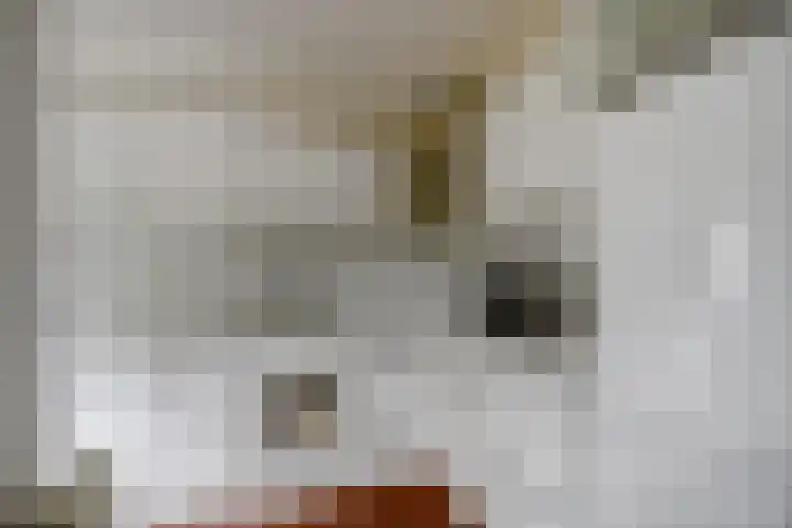 Algeraburren 14 Workum thumbnail 13