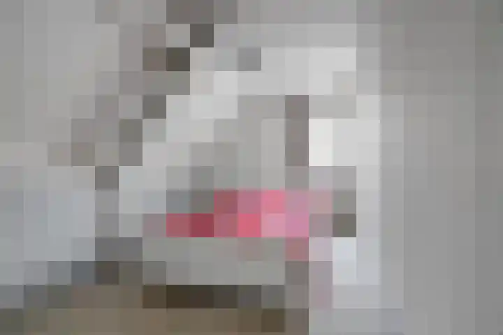 Algeraburren 14 Workum thumbnail 15