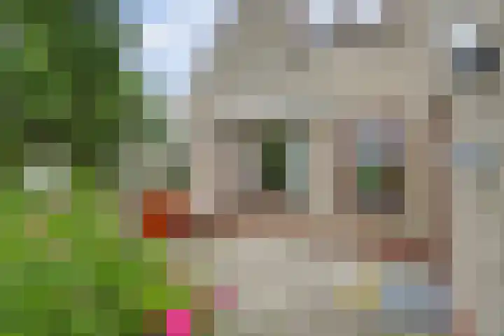 Algeraburren 14 Workum thumbnail 21