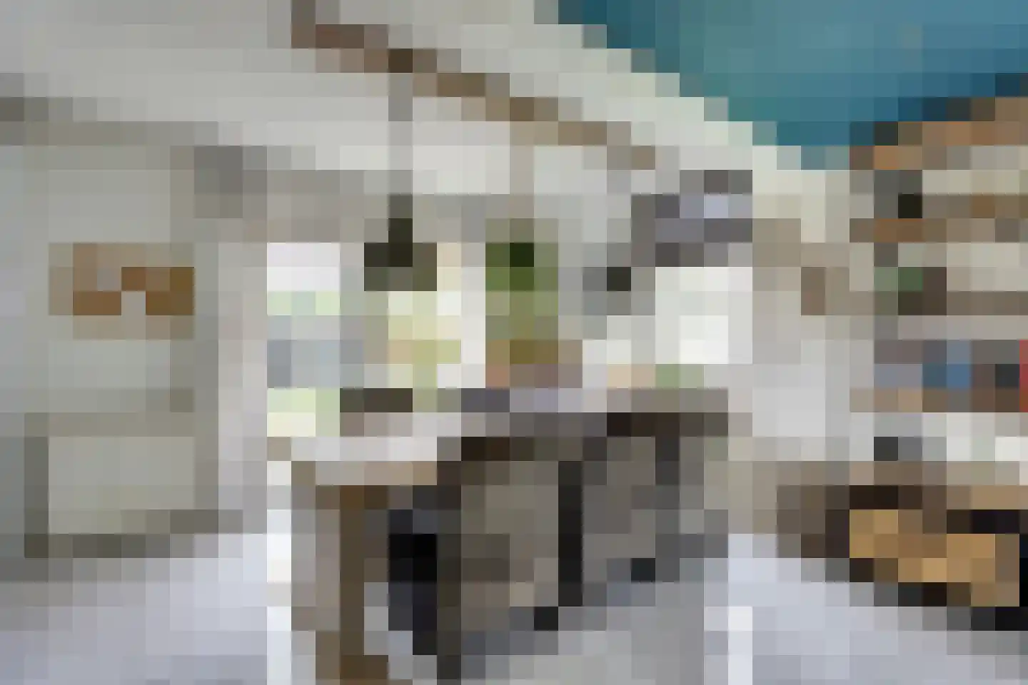Algeraburren 20 Workum thumbnail 10