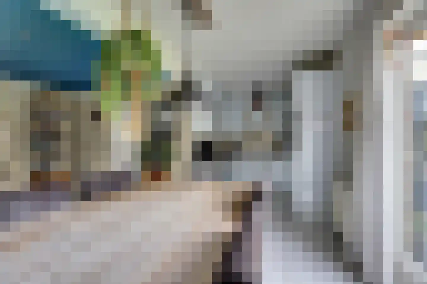 Algeraburren 20 Workum thumbnail 11
