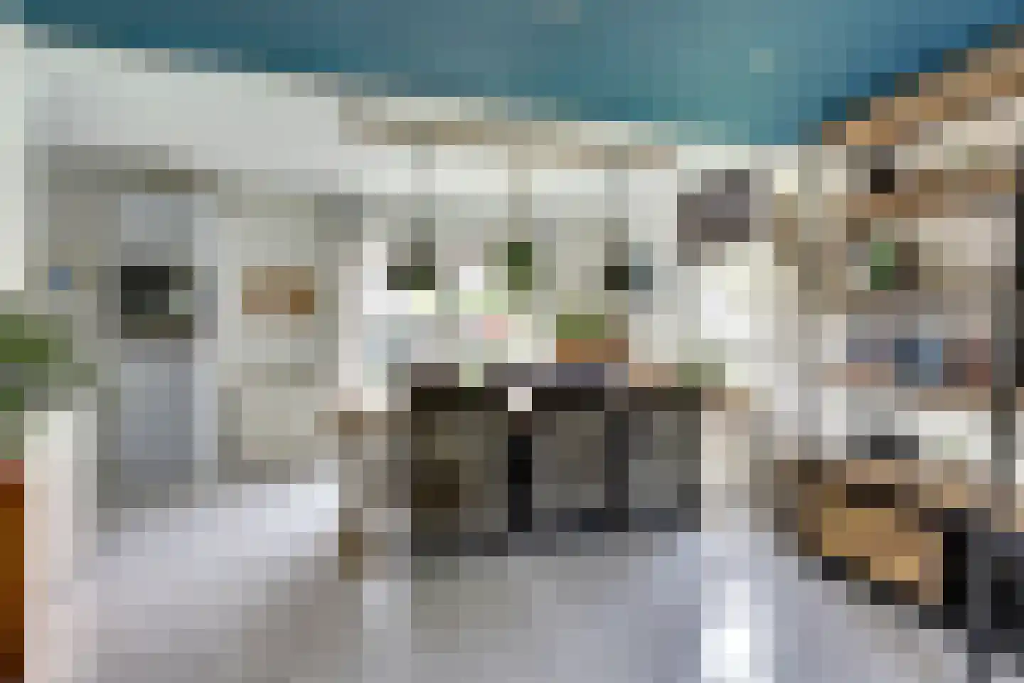 Algeraburren 20 Workum thumbnail 12
