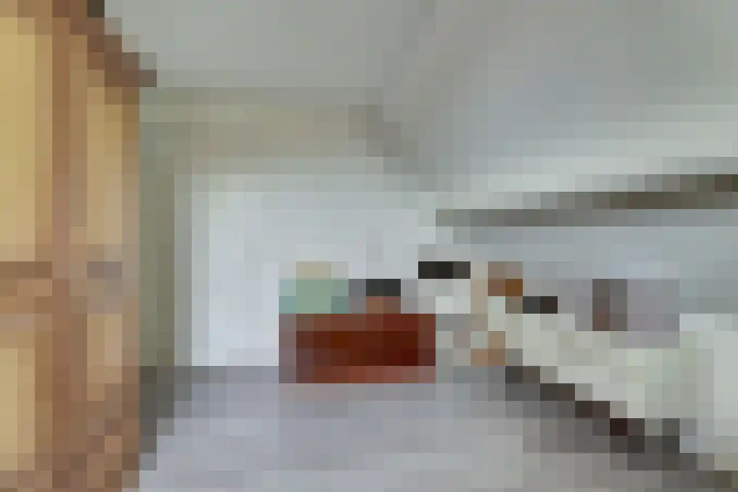 Algeraburren 20 Workum thumbnail 19