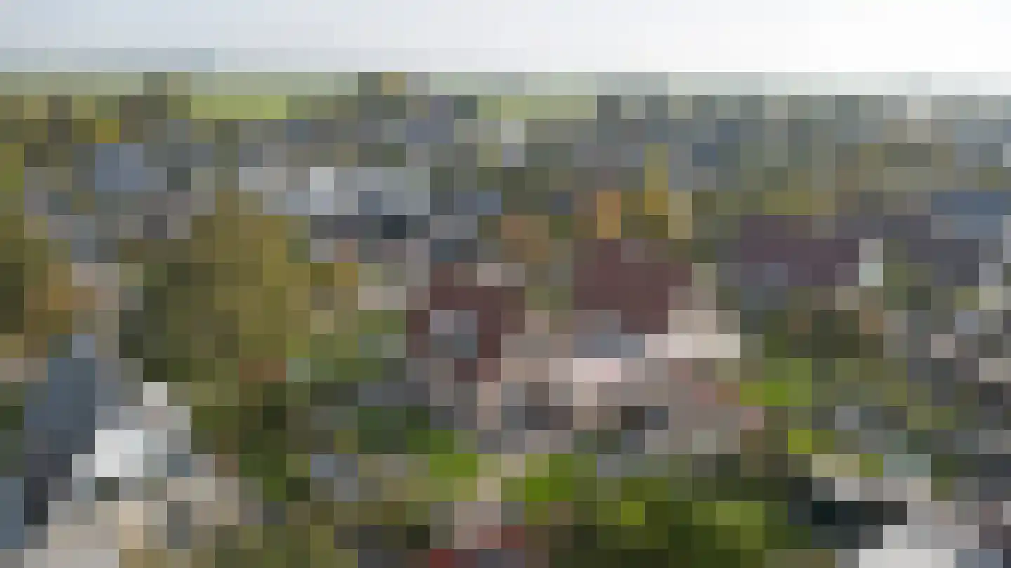Algeraburren 20 Workum thumbnail 26