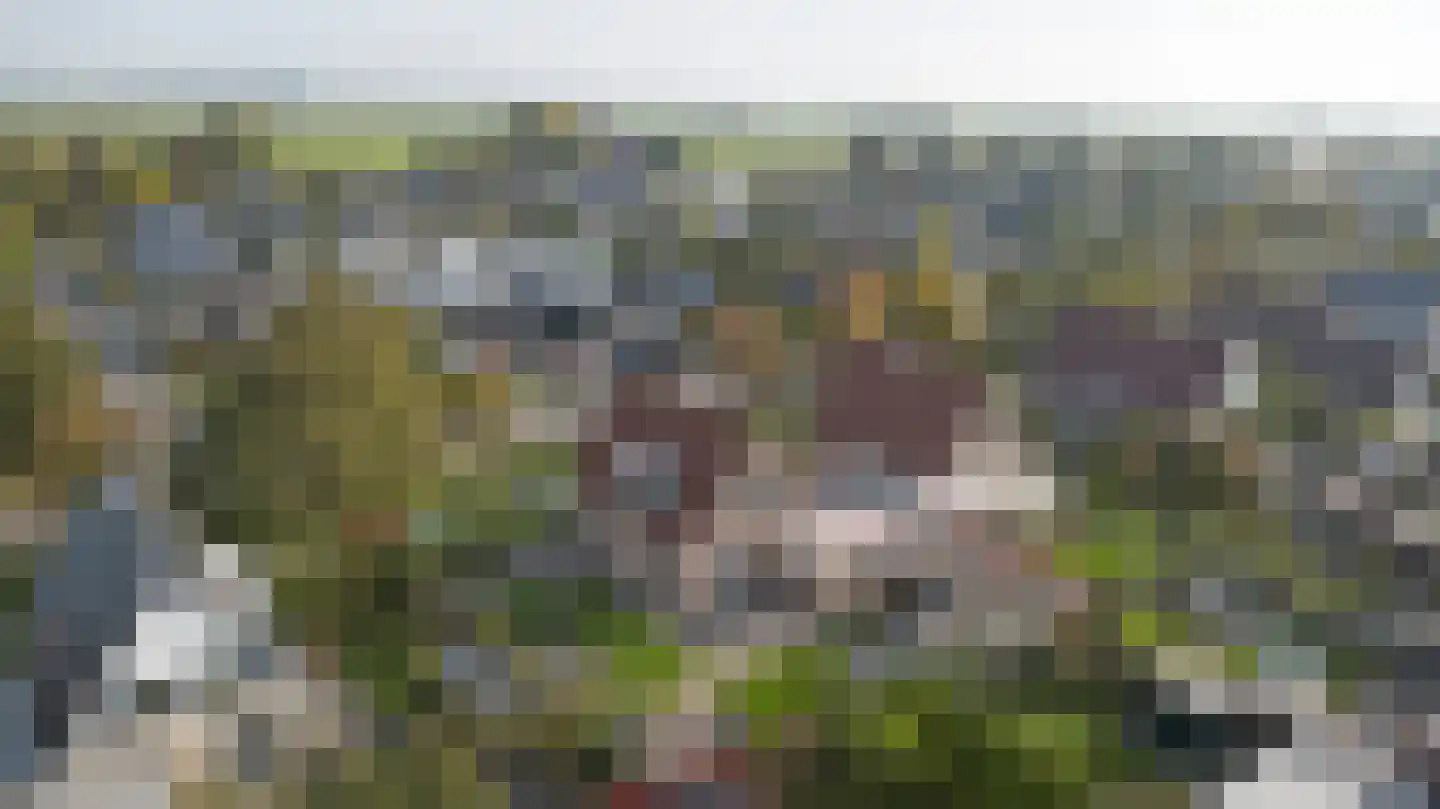 Algeraburren 20 Workum thumbnail 26
