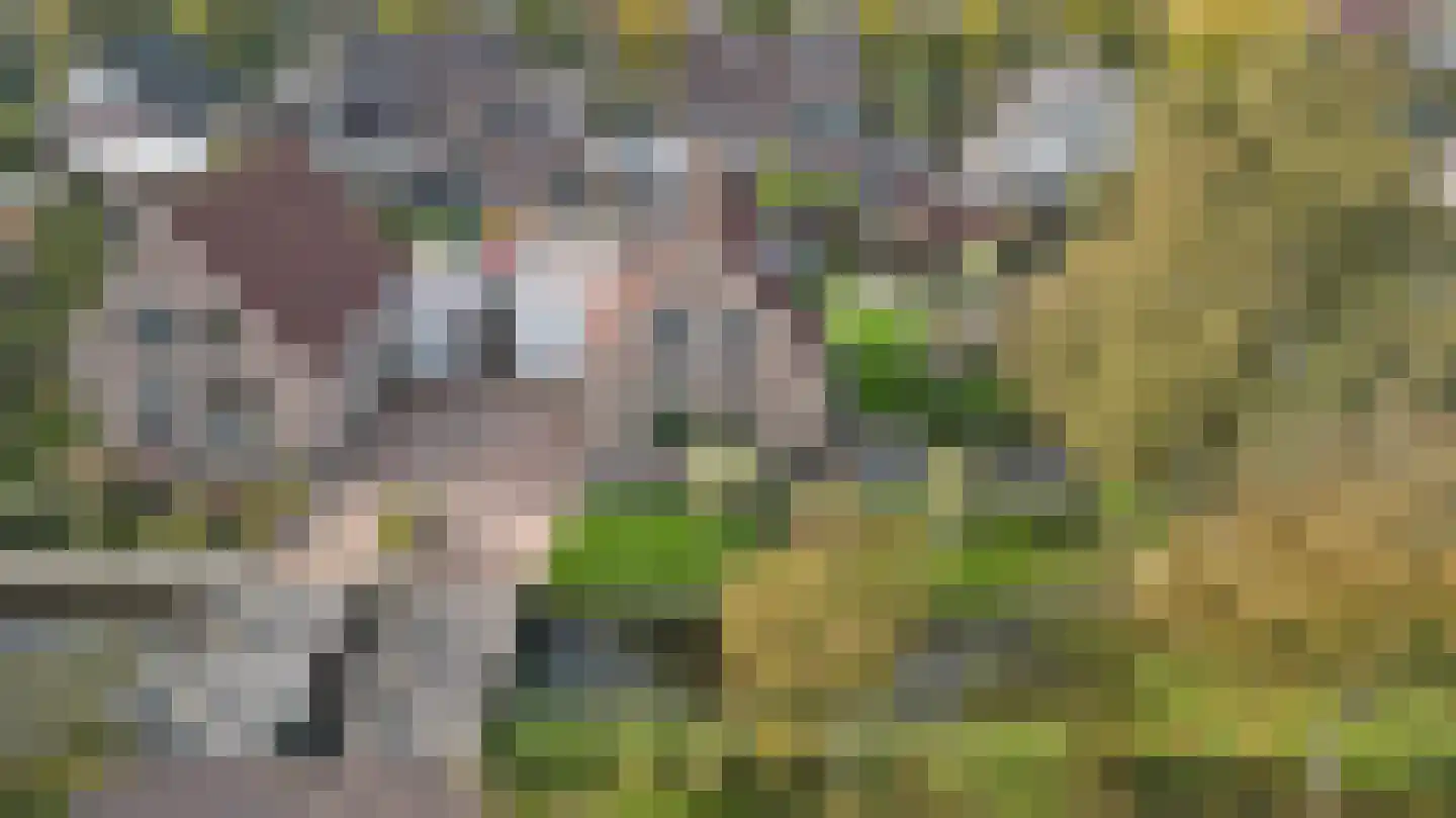 Algeraburren 20 Workum thumbnail 27