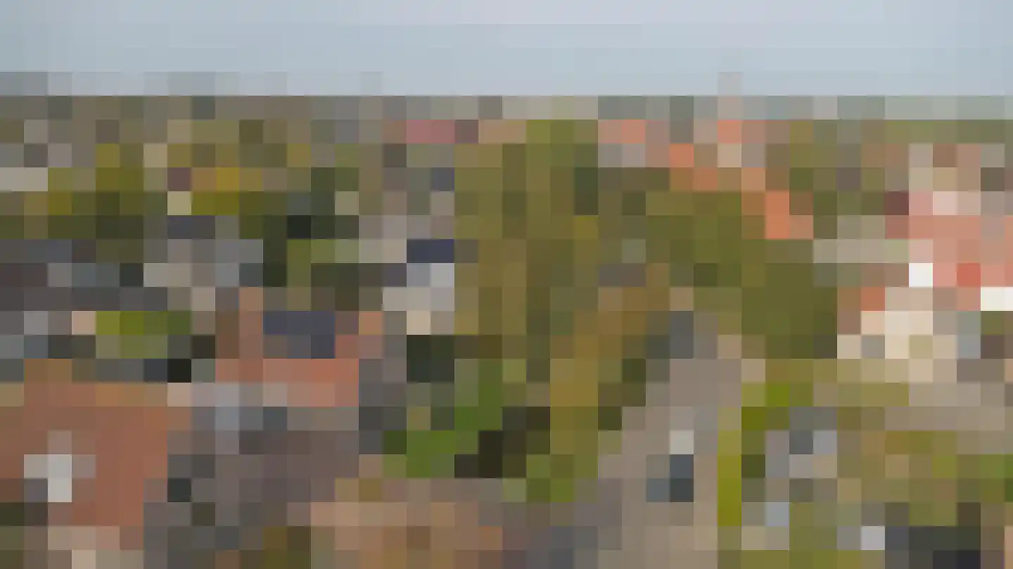 Algeraburren 20 Workum thumbnail 28