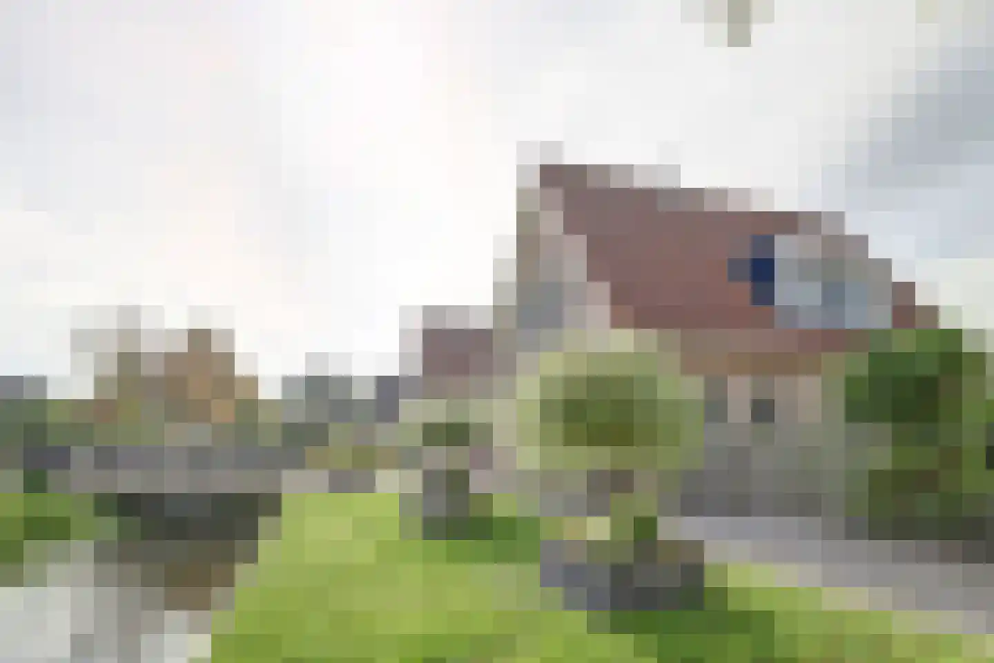 Algeraburren 20 Workum thumbnail 29