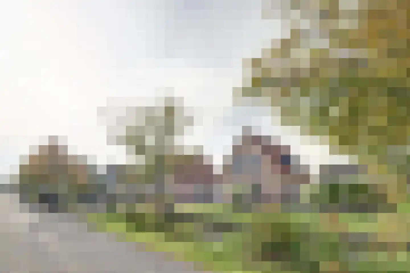 Algeraburren 20 Workum thumbnail 31