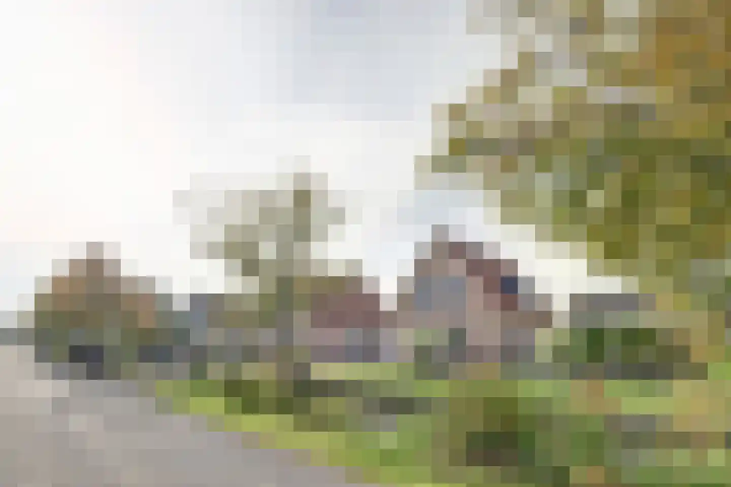 Algeraburren 20 Workum thumbnail 31
