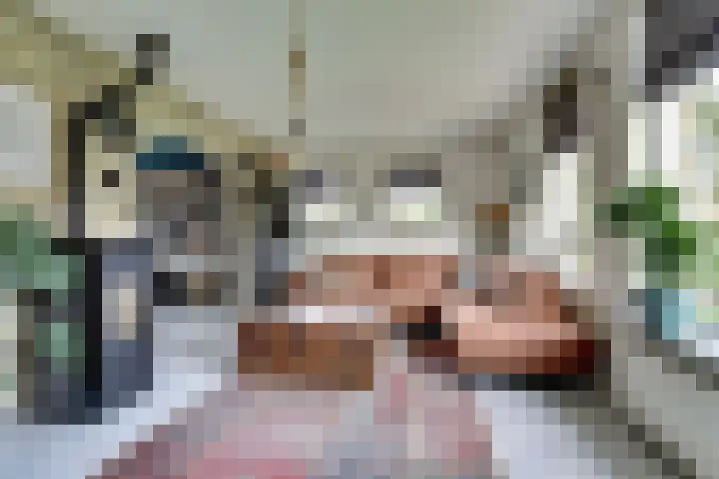 Algeraburren 20 Workum thumbnail 6