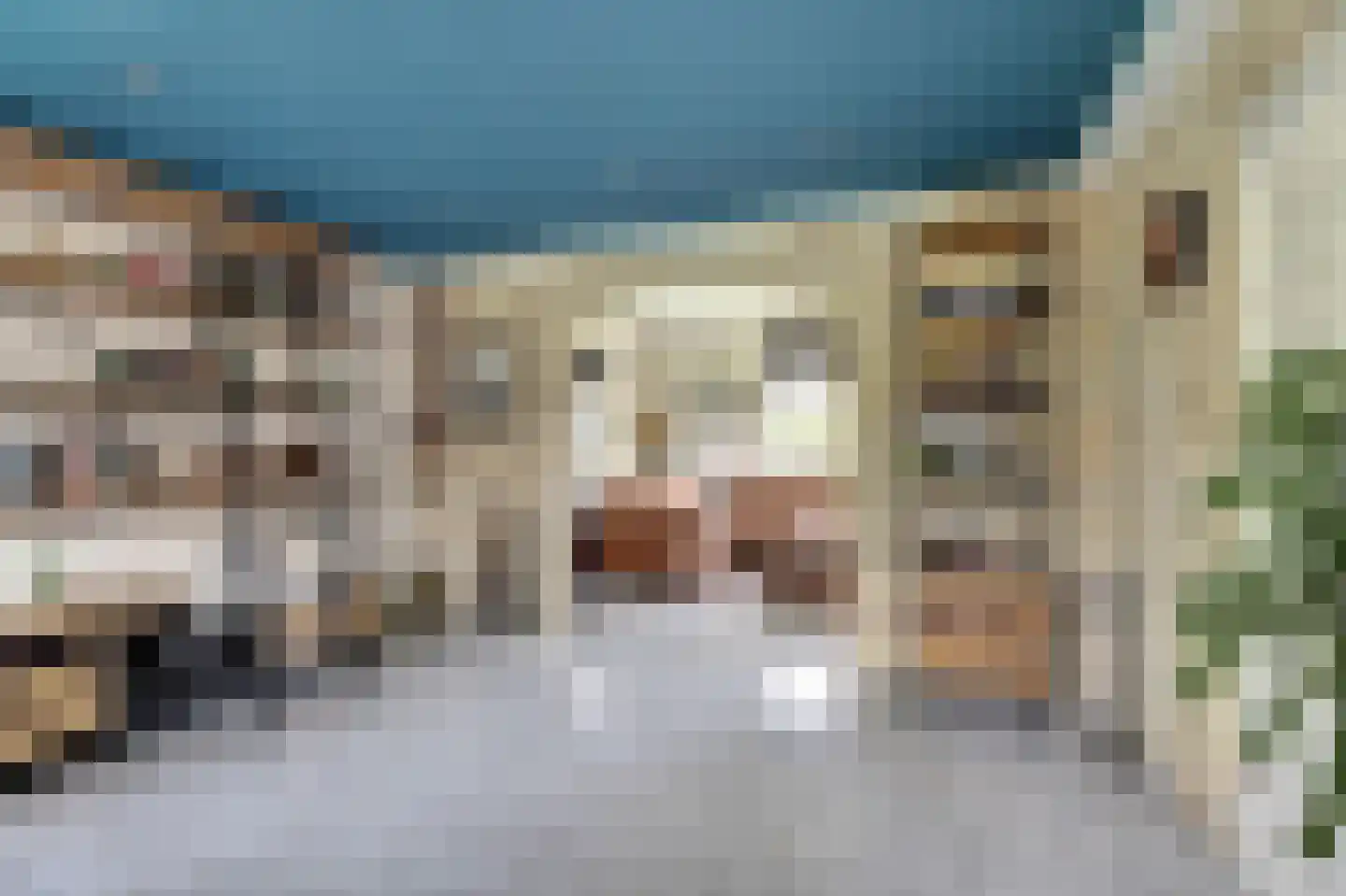Algeraburren 20 Workum thumbnail 8