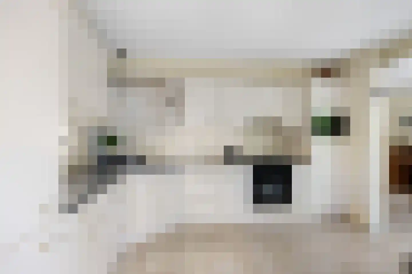 Algeraburren 26 Workum thumbnail 14