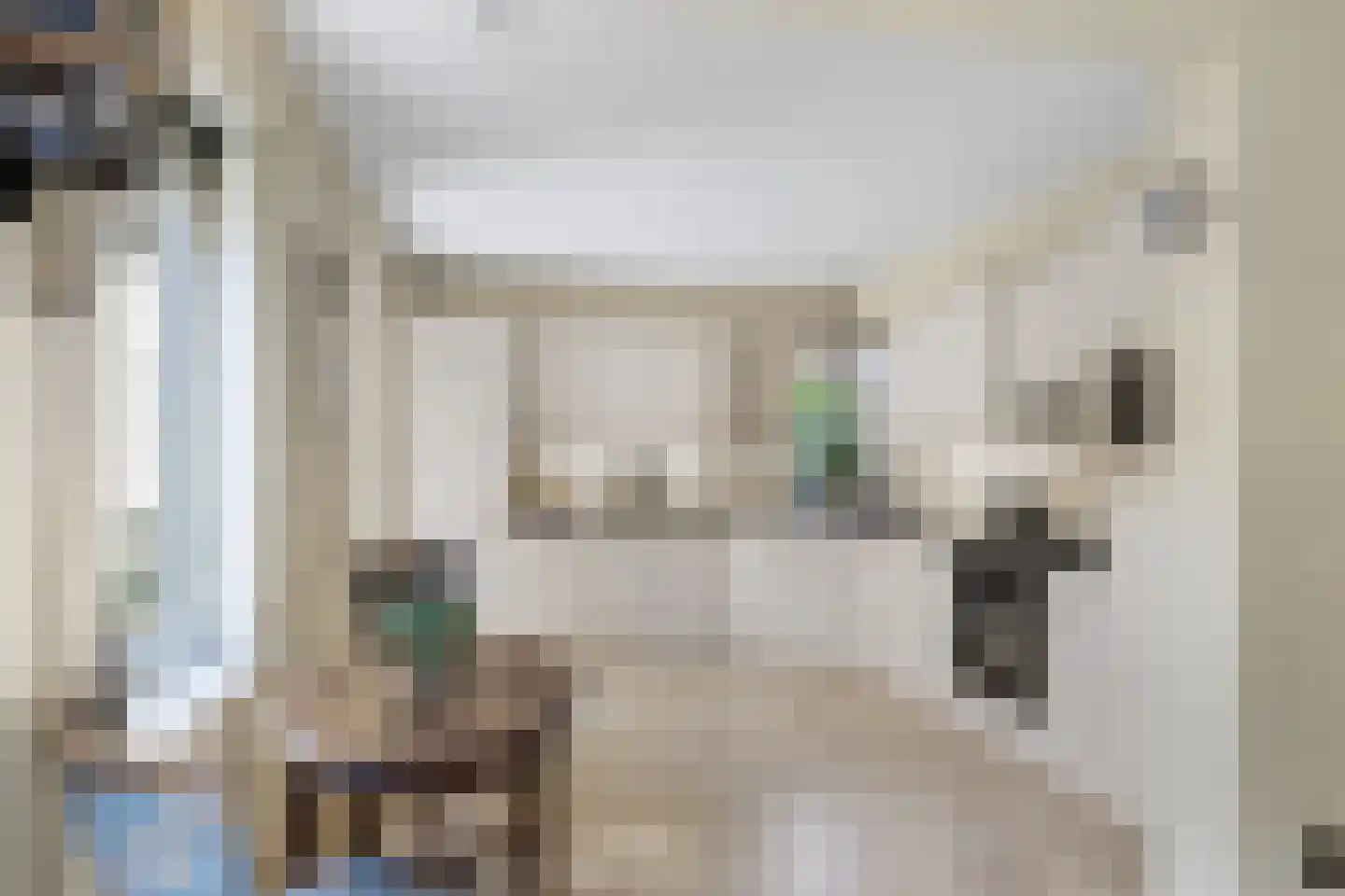 Algeraburren 26 Workum thumbnail 15