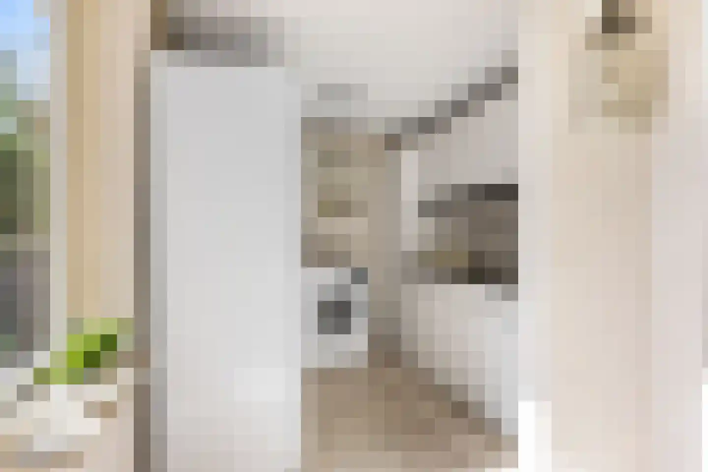 Algeraburren 26 Workum thumbnail 16