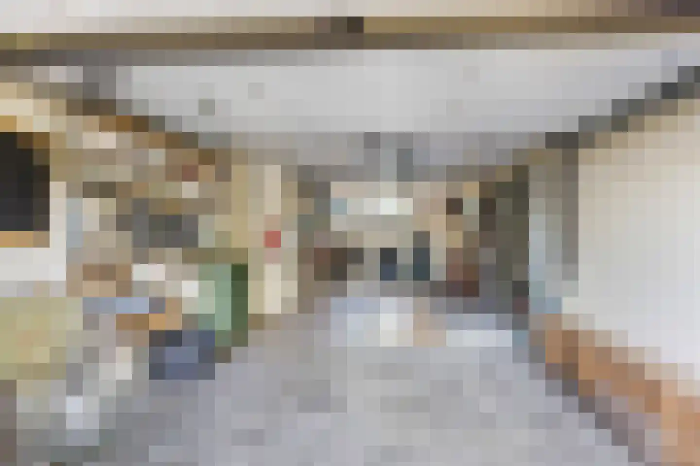 Algeraburren 26 Workum thumbnail 17