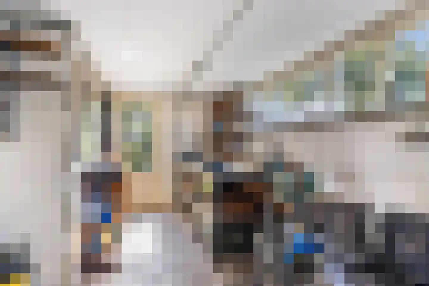 Algeraburren 26 Workum thumbnail 18
