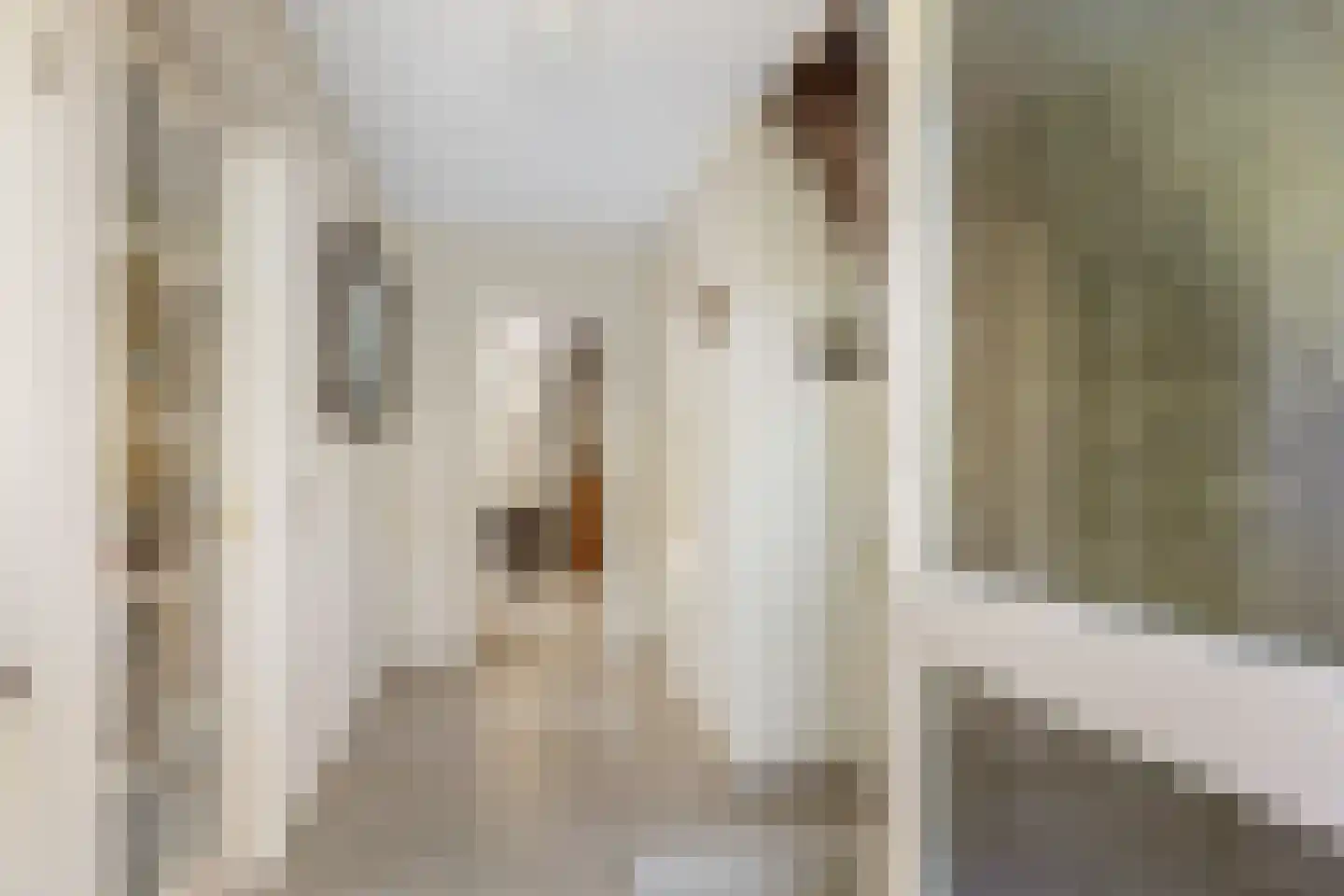 Algeraburren 26 Workum thumbnail 21