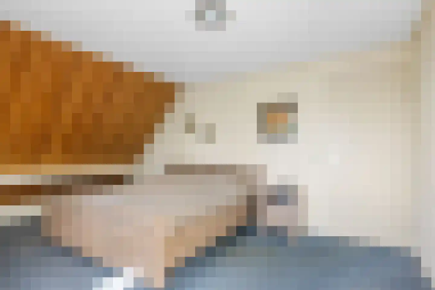 Algeraburren 26 Workum thumbnail 24