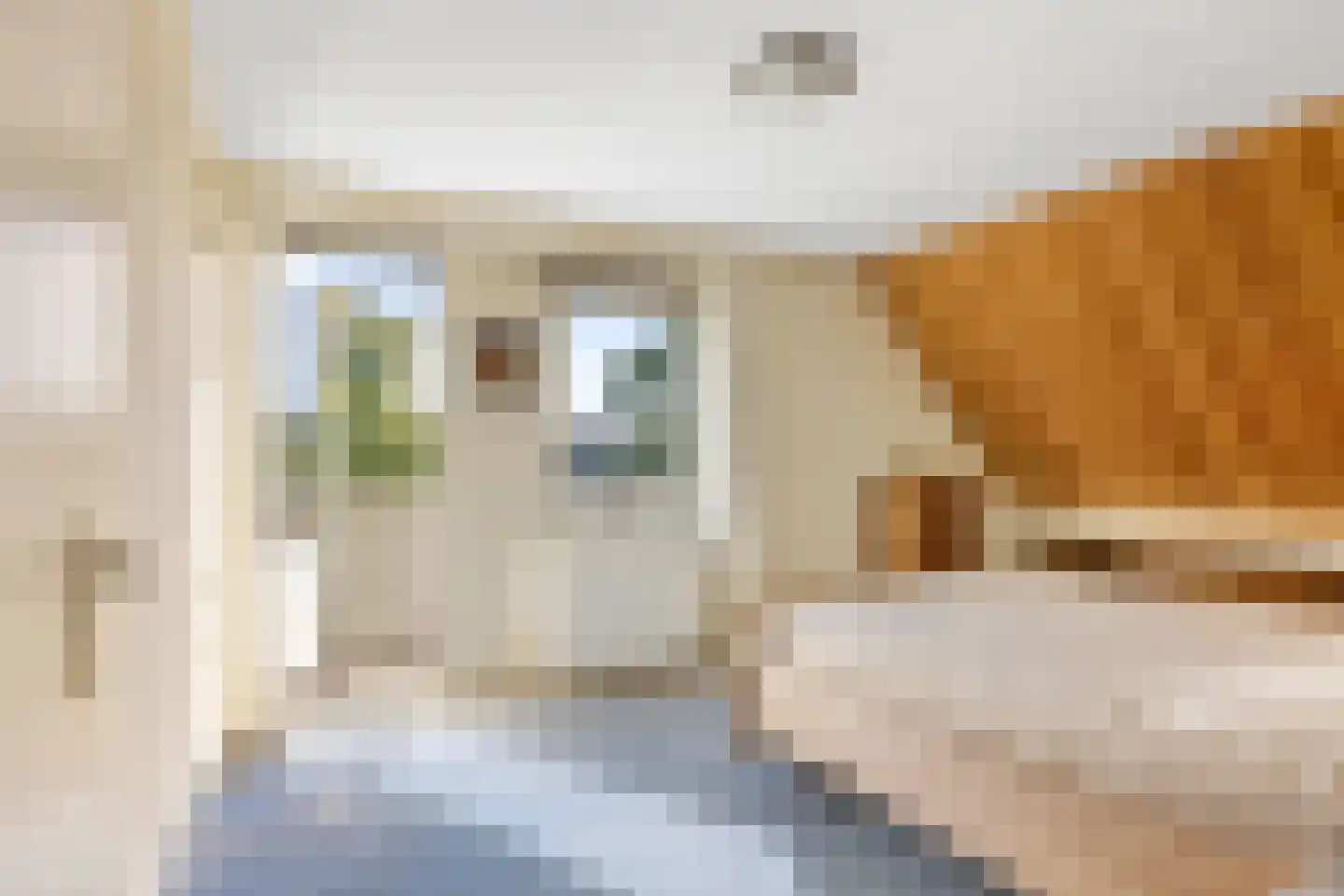 Algeraburren 26 Workum thumbnail 25