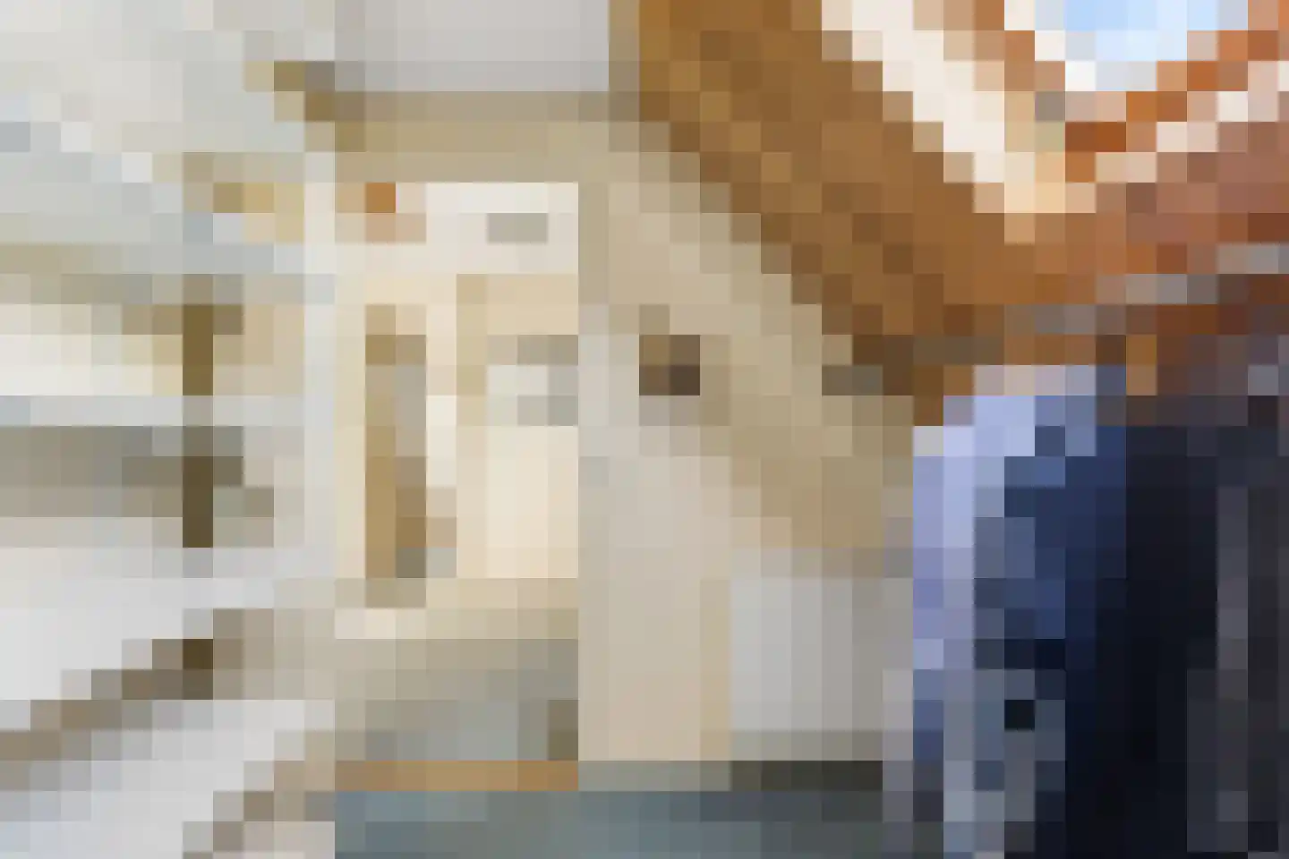 Algeraburren 26 Workum thumbnail 30