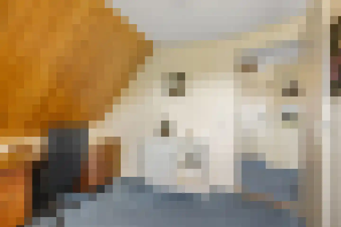 Algeraburren 26 Workum thumbnail 32