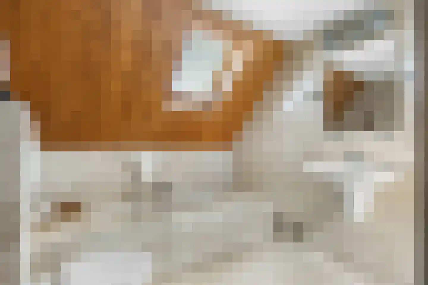 Algeraburren 26 Workum thumbnail 33