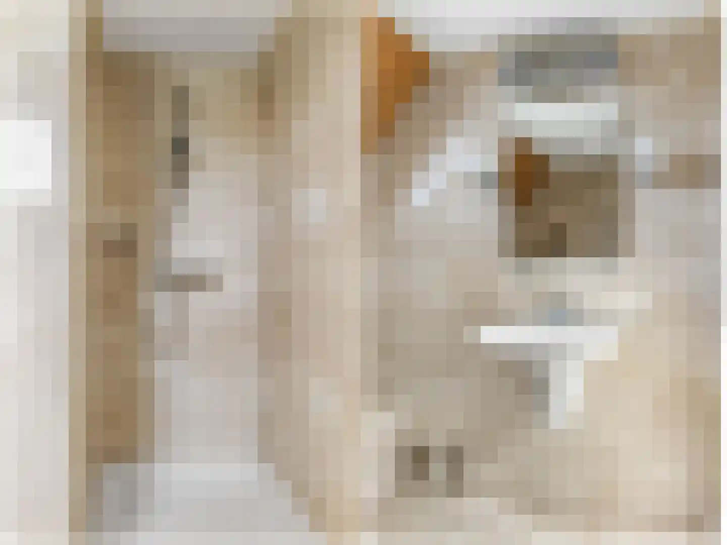 Algeraburren 26 Workum thumbnail 34