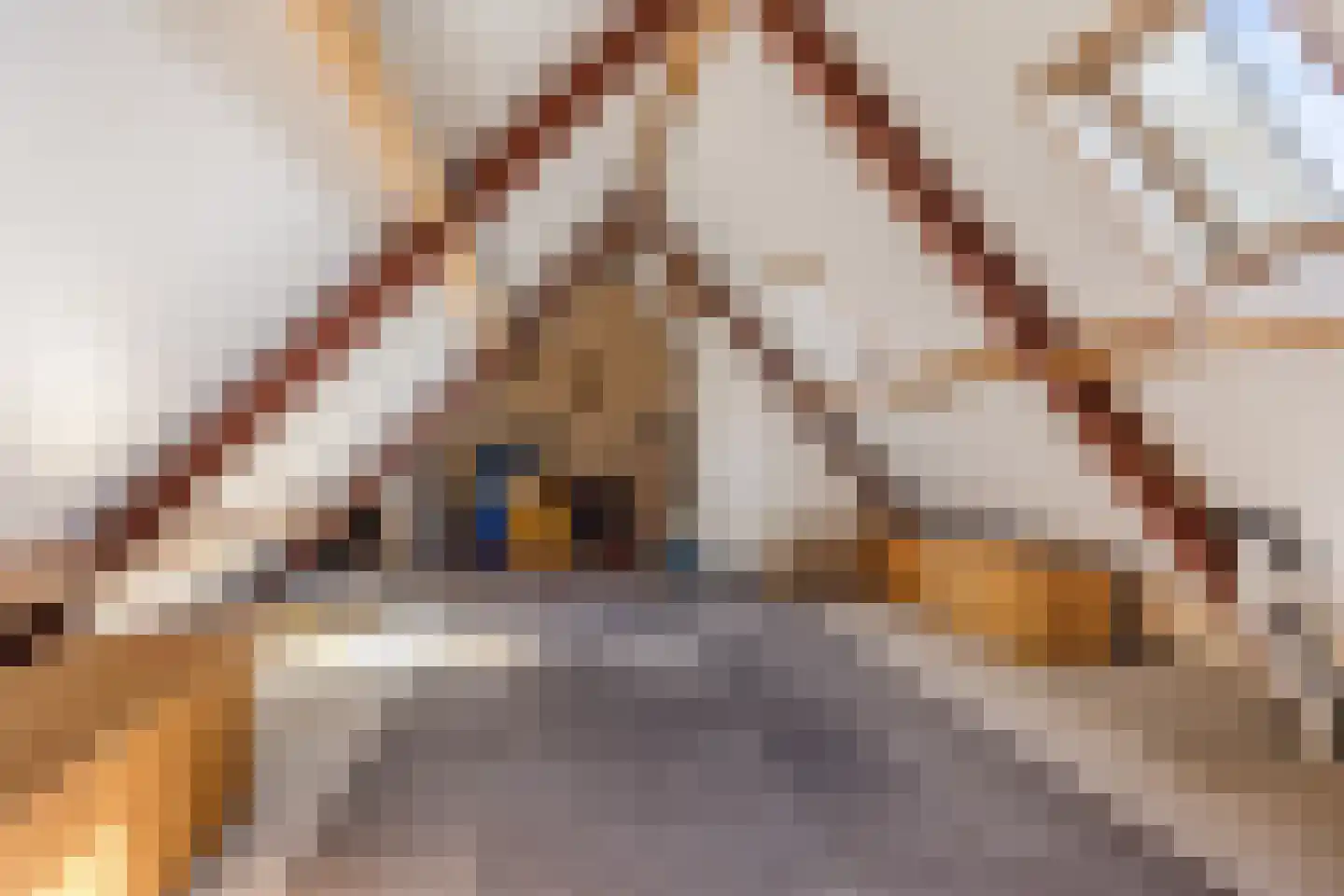 Algeraburren 26 Workum thumbnail 37