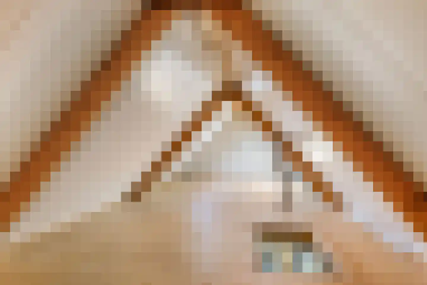 Algeraburren 26 Workum thumbnail 38
