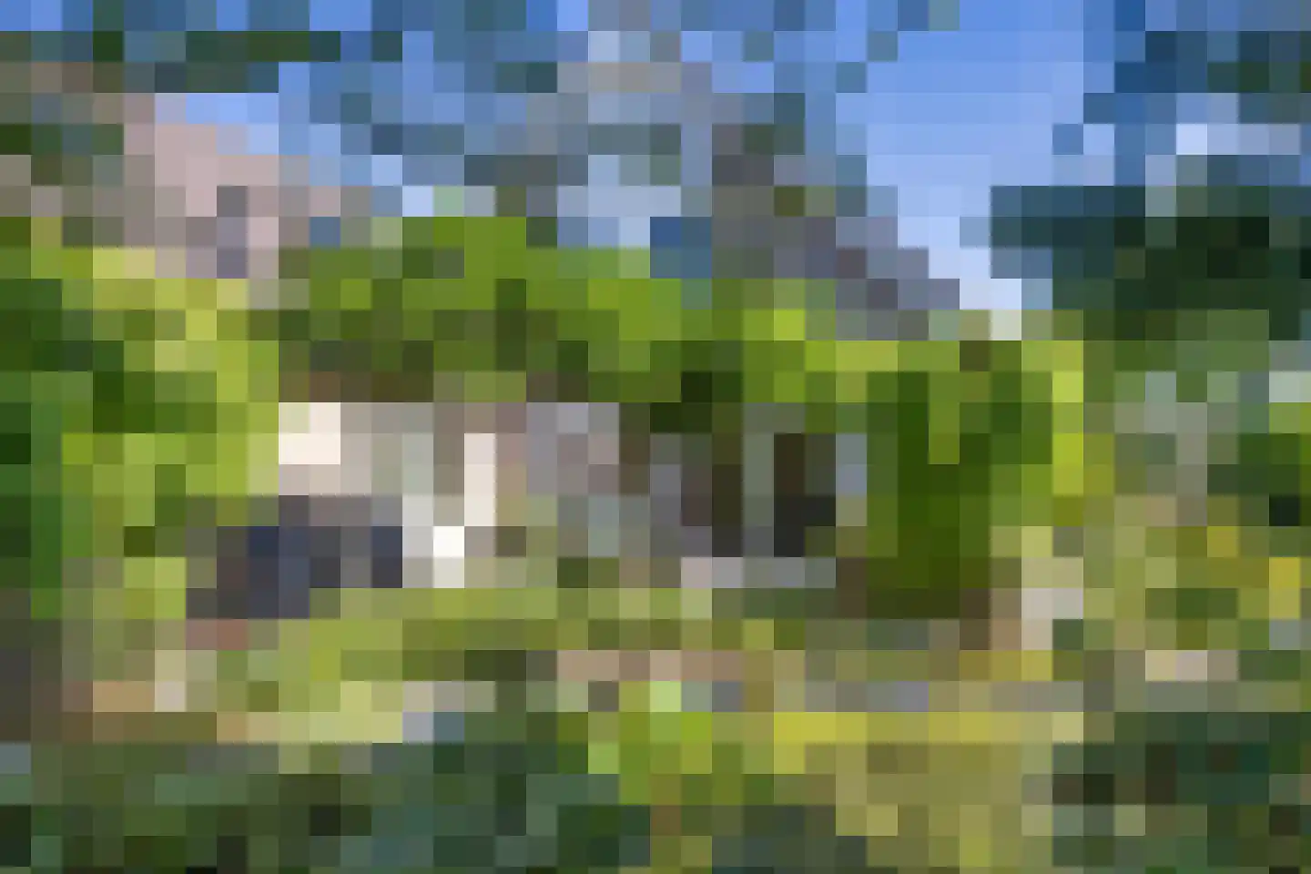Algeraburren 26 Workum thumbnail 39