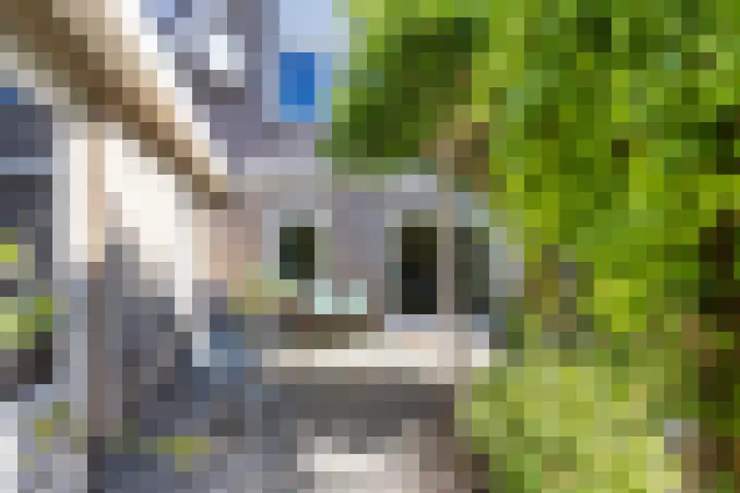 Algeraburren 26 Workum thumbnail 44