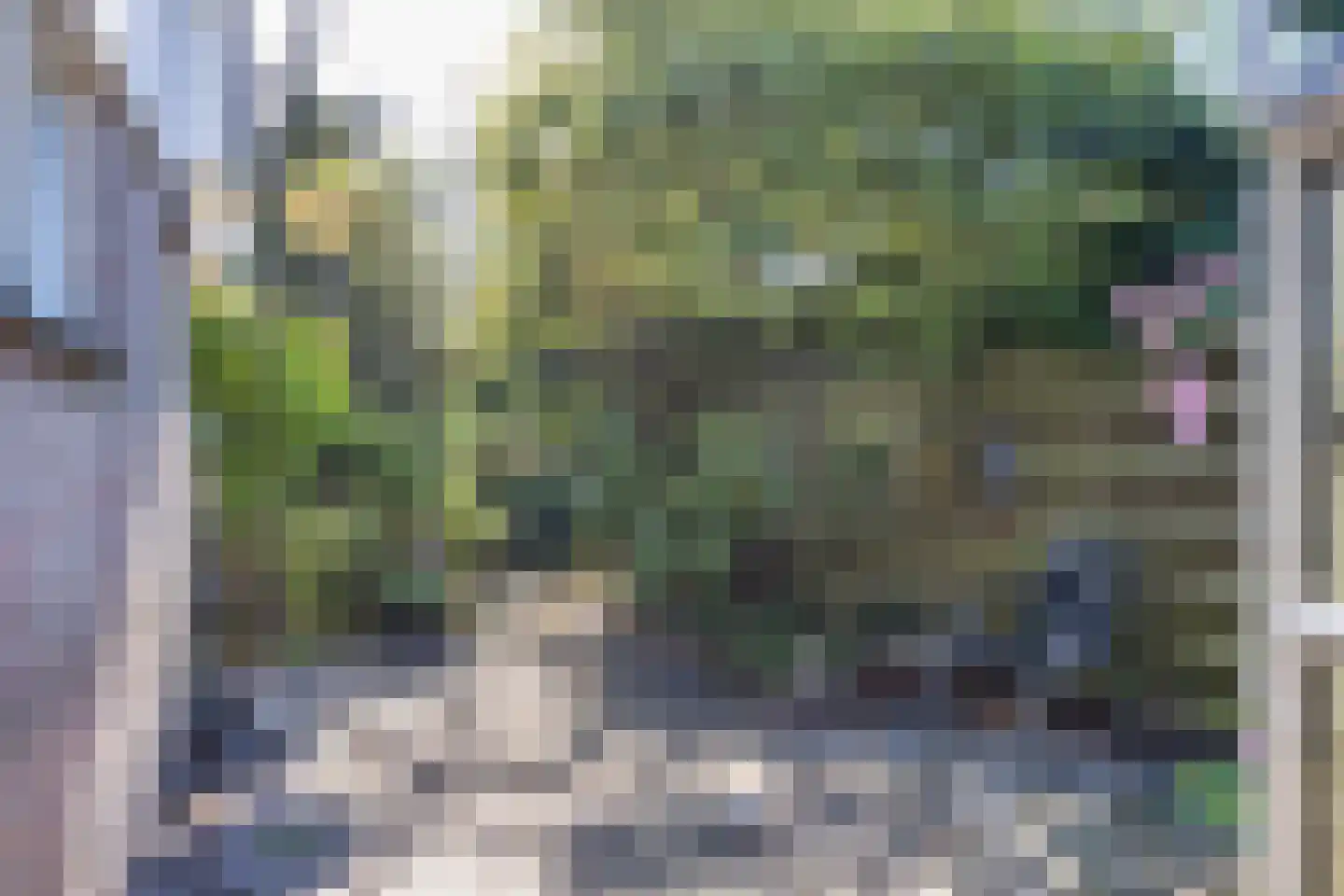 Algeraburren 26 Workum thumbnail 46