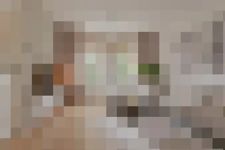 Algol 11 Hoogeveen thumbnail 12