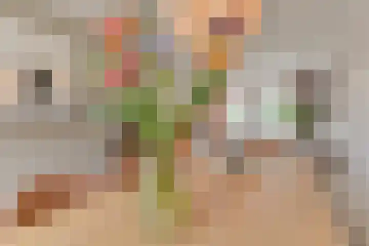 Algol 11 Hoogeveen thumbnail 13