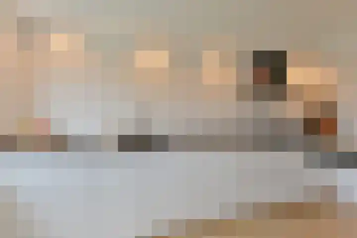 Algol 11 Hoogeveen thumbnail 15
