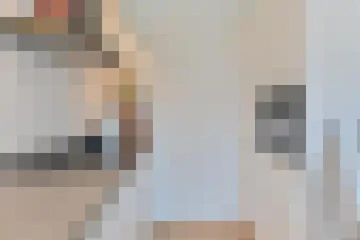 Algol 11 Hoogeveen thumbnail 17