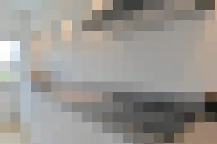 Algol 11 Hoogeveen thumbnail 18